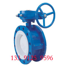 Double flange butterfly valve - PTFE Lined