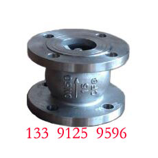 Stainless Steel Silent Check Valve 