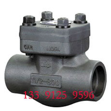 Forged Check Valve - NPT End