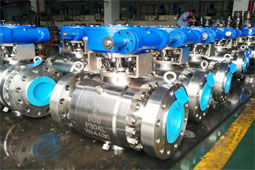 Trunnion forged ball valve